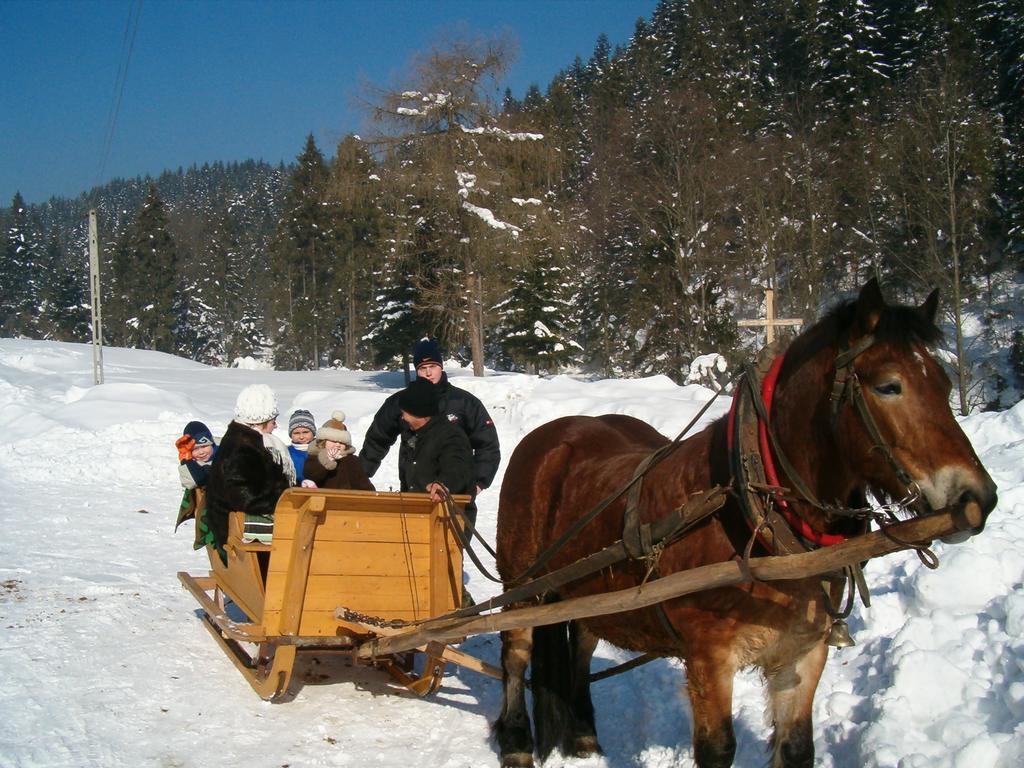 Noclegi "Przy Szlaku" Grywald ภายนอก รูปภาพ